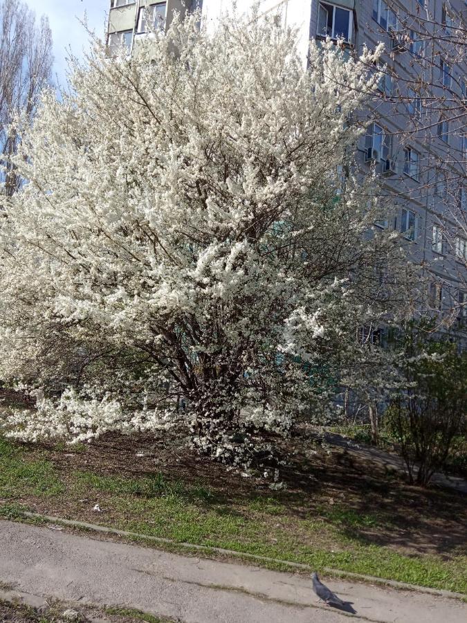 Отель На Каракумской, 75А Rostov na Donu Dış mekan fotoğraf